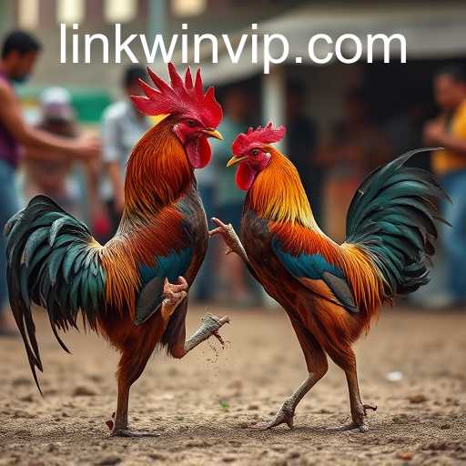 WINVIP